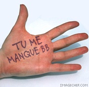 le 20 Juillet 2008