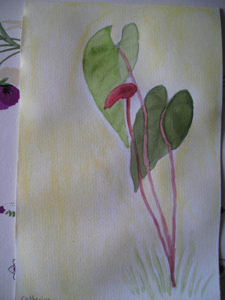 aquarelle