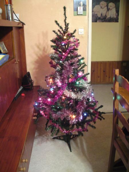 mon sapin